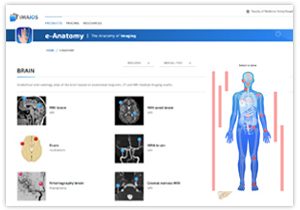 e-Anatomy