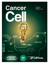 cancer cell
