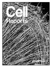 cellreport