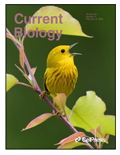 currentbiology