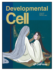 developmental