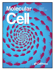 molecularcell