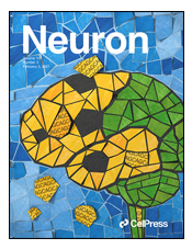 neuron 1