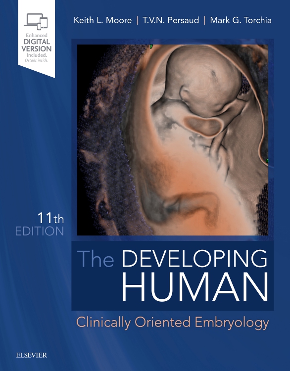 the developing human