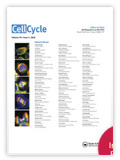 cell cycel