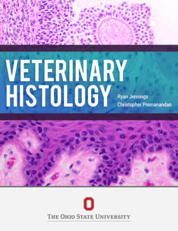 Veterinary