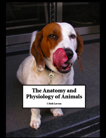 Anatomy and Physiology of Animals