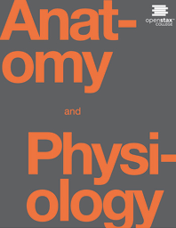 Anatomy and Physiology
