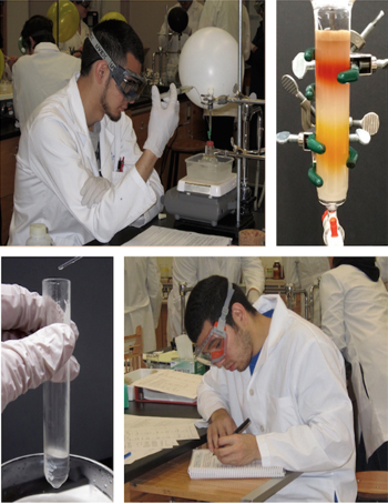 Organic Chemistry Laboratory Techniques