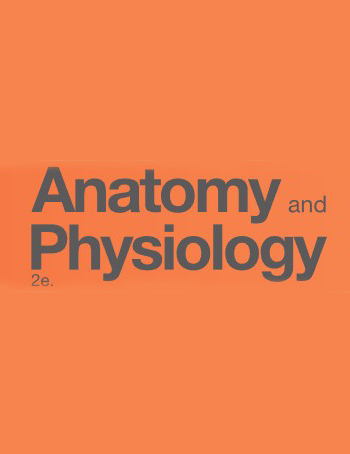 Anatomy and Physiology 2e