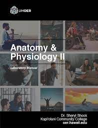 Anatomy and Physiology 2 Lab Manual