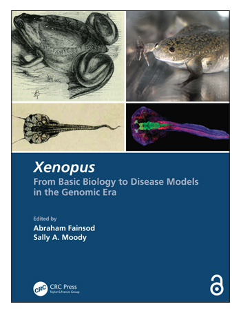 Xenopus