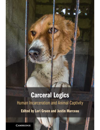 Carceral Logics