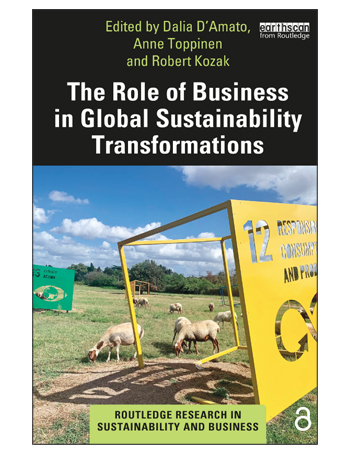 The Role of Business in Global Sustainability Transformations