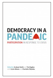 Democracy in a Pandemic: Participation in Response to Crisis