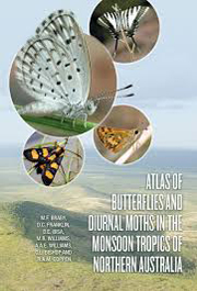 Atlas of Butterflies and Diurnal Moths in the Monsoon Tropics of Northern Australia