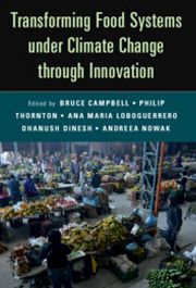 Transforming Food Systems Under Climate Change through Innovation