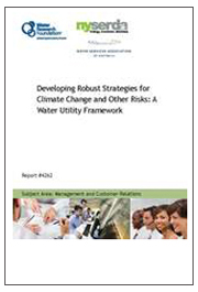 Developing Robust Strategies for Climate Change and Other Risks: A Water Utility Framework
